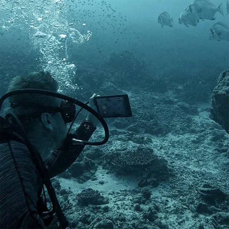 Visual documentation - Diver Navigation