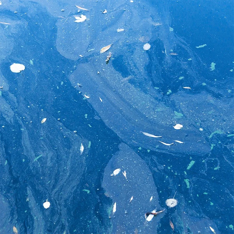 Miljöövervakningssensorer – tillval.

Utrymme i lastutrymmet för ytterligare sensorer som samlar in vattenkvalitetsdata för ekologiska och forskningsmässiga tillämpningar, inklusive temperatur, salthalt, grumlighet och andra viktiga parametrar.