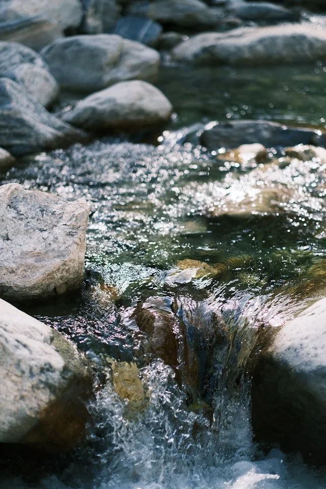 Close-up of a rocky stream with water flowing over rocks in a natural outdoor setting.