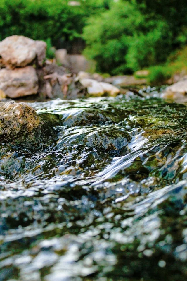 A close-up view of a flowing stream with rocks, surrounded by green trees and foliage.