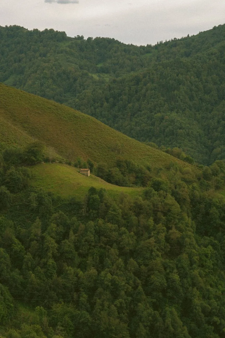 Green forested hillside with a small house on a grassy slope.