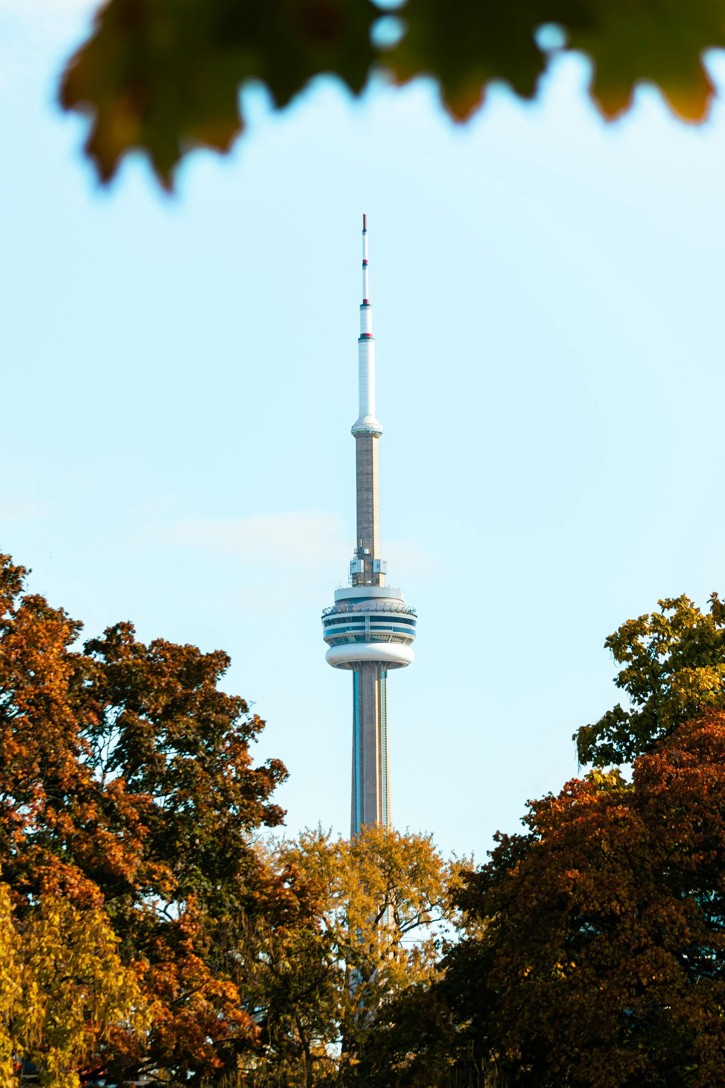 The Best Time to Detail Your Car in Toronto: A Season-by-Season Guide