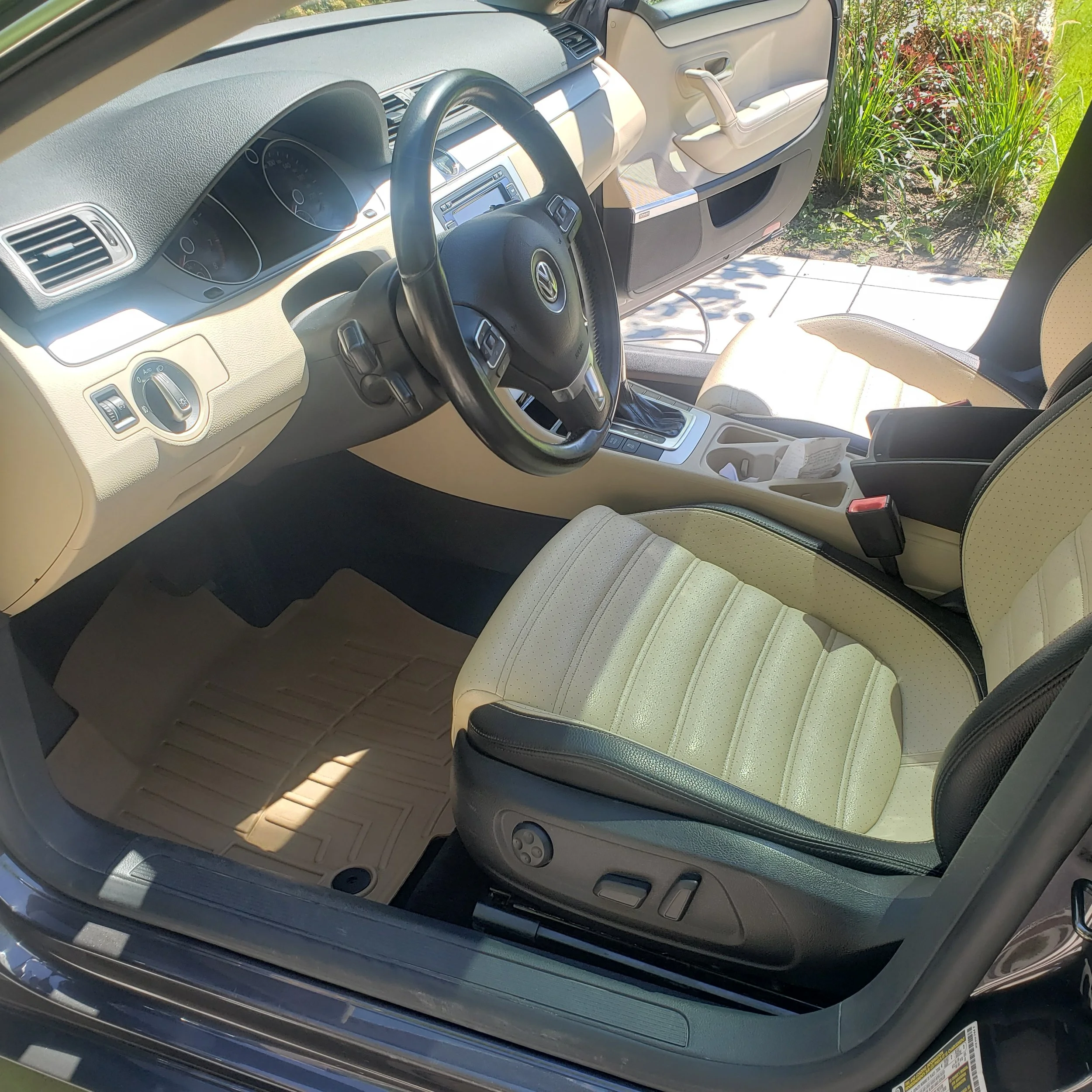 Leather conditioning, carpet shampoo and 3D Ultra protectant used on plastics to revitilize the interior 
