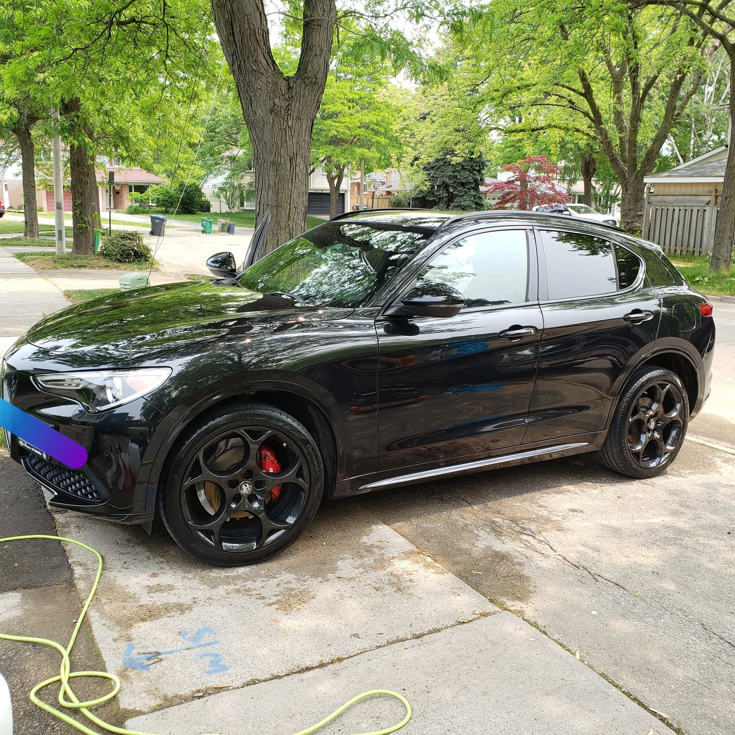 Alfa Romeo Stelvio full interior & exterior detail, paint sealant applied,  interior steaming and leather conditioning done.