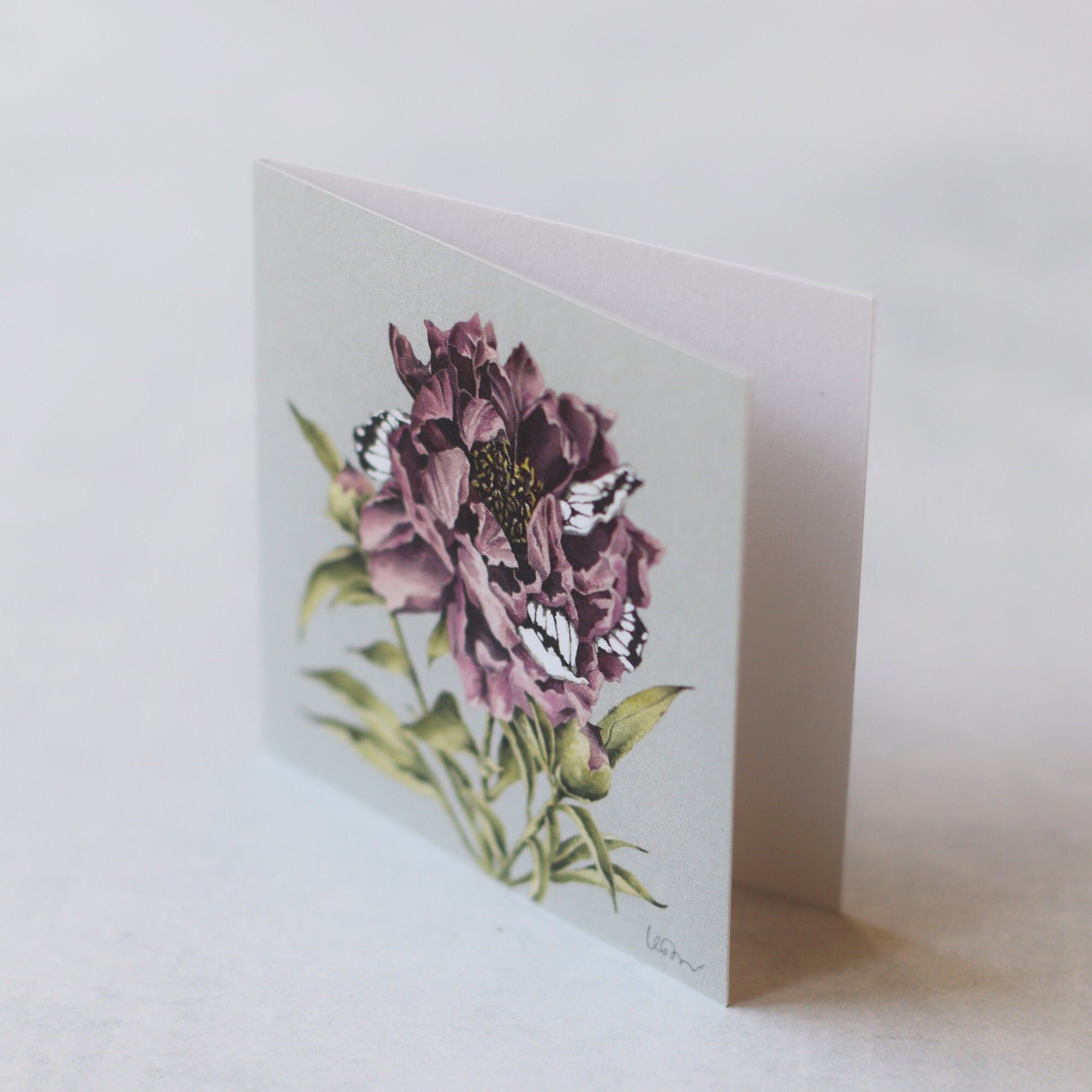 https://i.etsystatic.com/15355333/r/il/4ad78c/3288855482/il_fullxfull.3288855482_433u.jpg