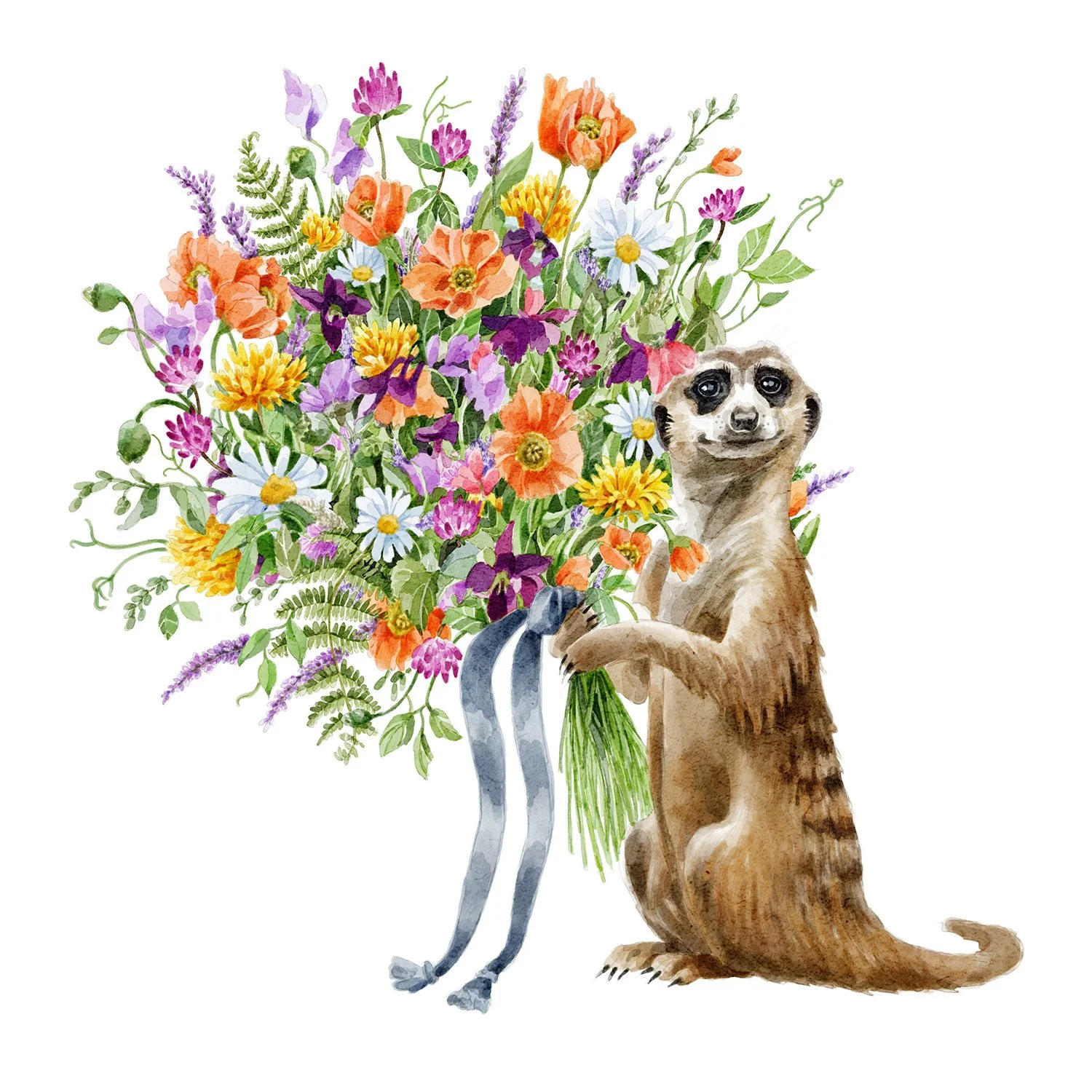 Meerkat.jpg