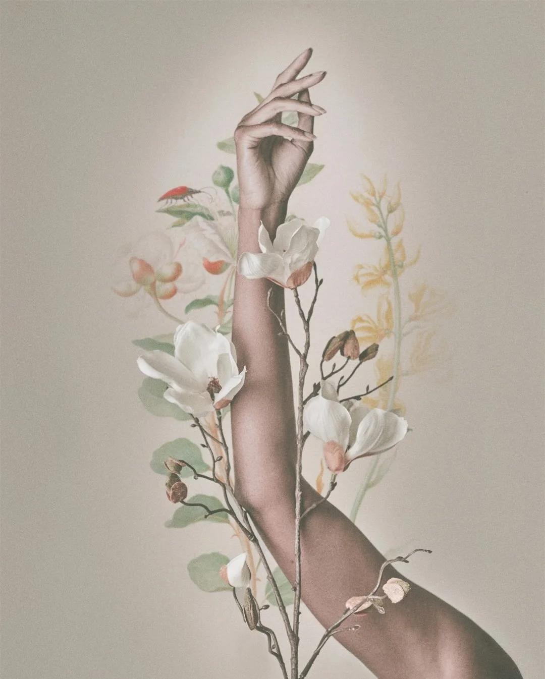 ✨ FINE ART BODYSCAPE WORKSHOP ✨

Ready to see the human body as a living sculpture? Let&rsquo;s explore light, shadow, and form like never before. Learn to transform skin into landscape, curves into art, and simple portraits into gallery-worthy piece