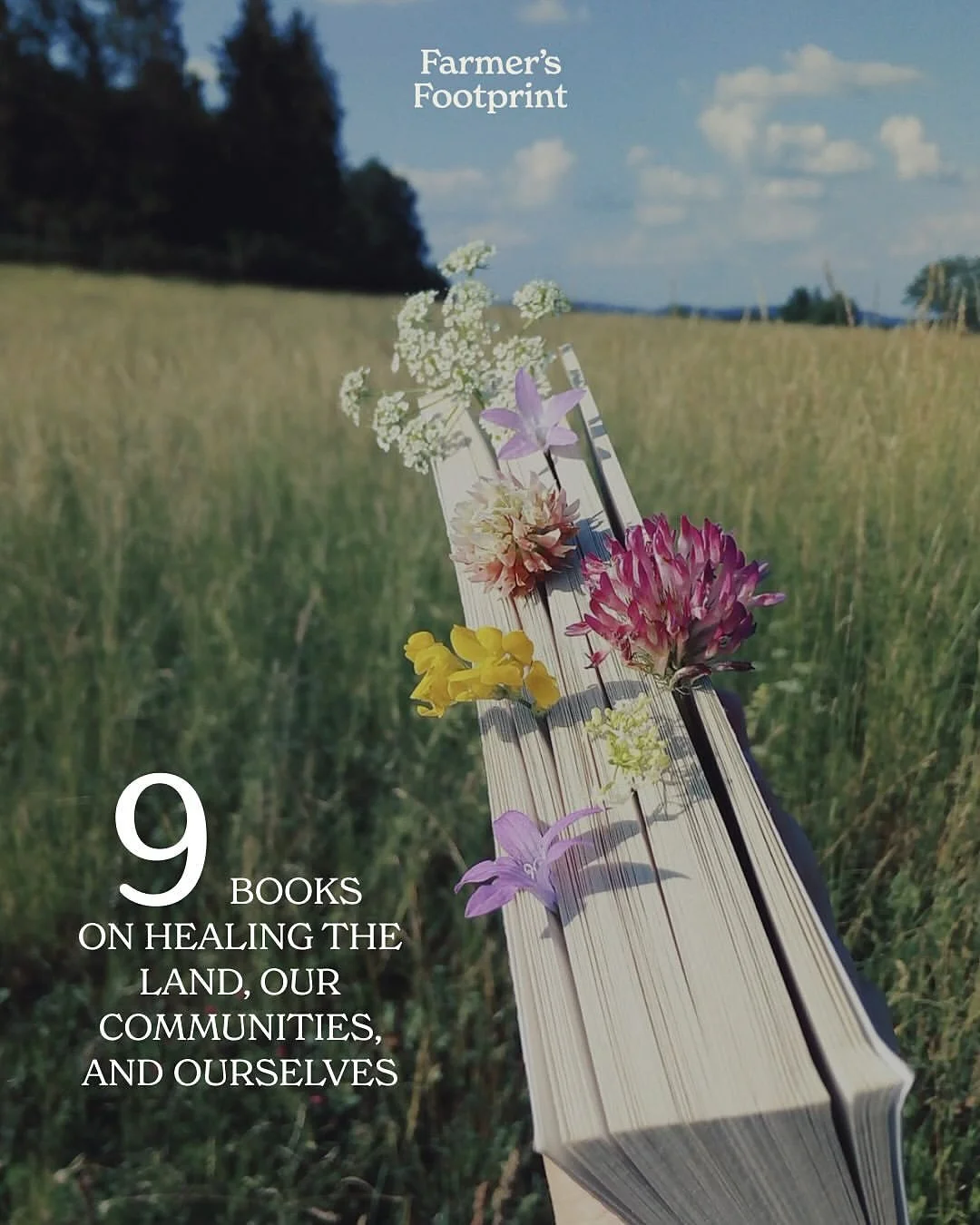 @farmersfootprint
&bull;
Books are like portals&ndash;inviting us into new worlds, expanding our knowledge, and sparking imagination. They nurture compassion, ignite curiosity and when it seems like we are alone in the world, it is in their pages tha