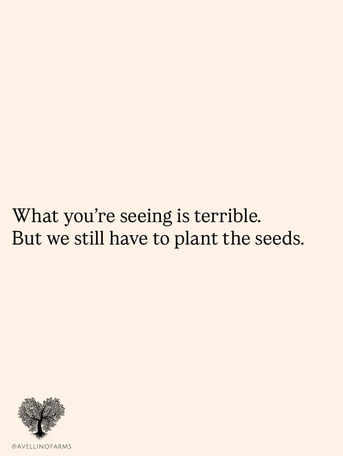 @avellinofarms
&bull;
And still, we plant. Not because we&rsquo;re blind to what&rsquo;s happening, but because we refuse to let horror be the only thing we pass down.

Choosing to stay human while keeping our eyes open is becoming increasingly diffi