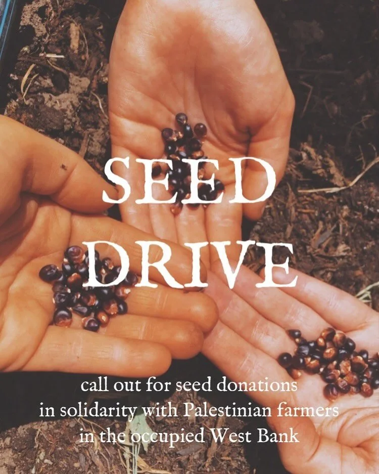 @thepeacefulseed
&bull;
Attention: farmers, gardeners + seed savers in so-called australia &mdash; I have a grateful connection to a family member of @palestinian_grandma who is visiting here at the moment and she has a request to bring some new + di