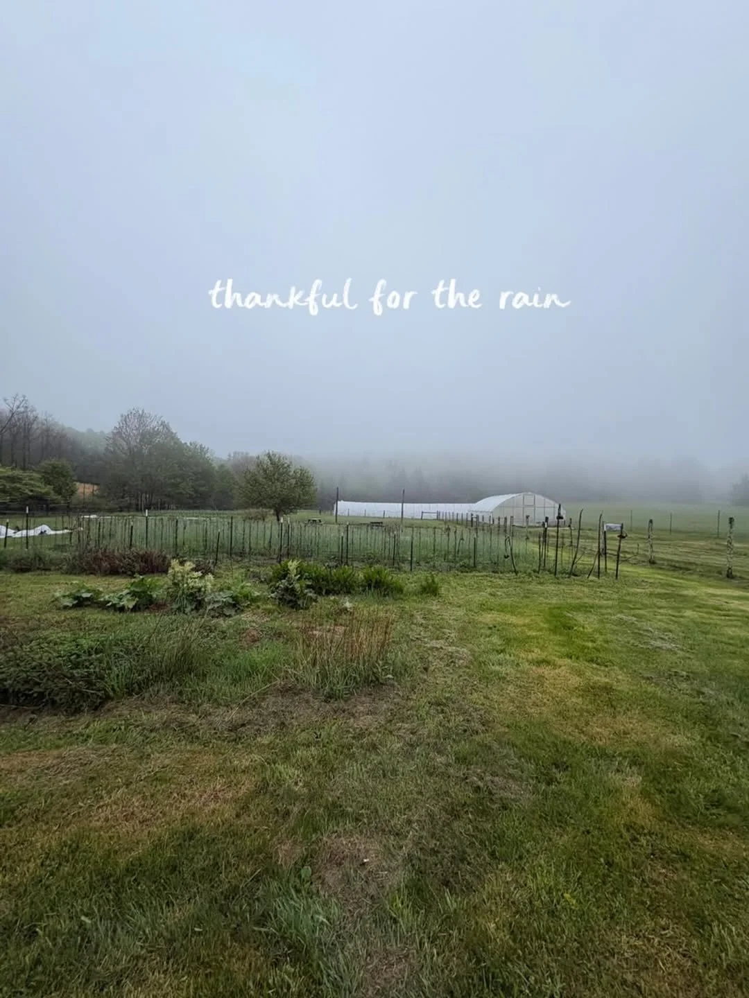 Repost from @alleghenymountaininstitute
&bull;
We are so thankful for the rain 🌧️ We&rsquo;ve planted seeds and are so excited to watch them grow and share the harvest with our community 🌱🥕🌽

We have a farm social next Saturday and would love to 