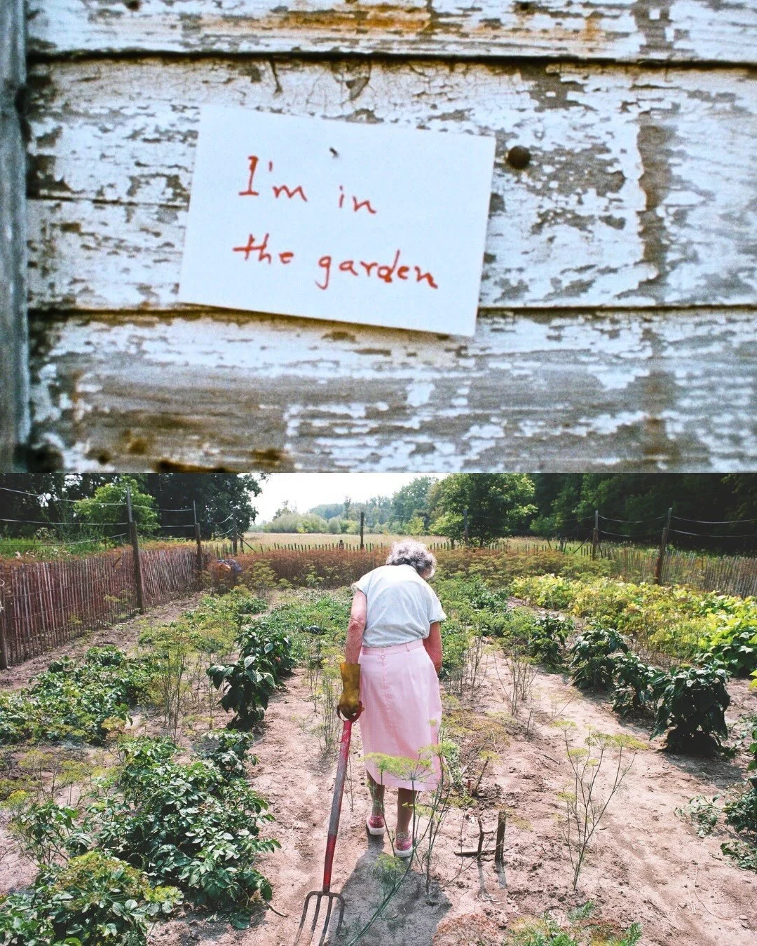 @tvodocs
&bull;
Fiercely independent 90-year-old Agatha Bock lives alone on her ancestral farm. Despite health challenges, she defiantly tends to her land, cultivating heirloom seeds passed down through generations.

Employing traditional techniques,