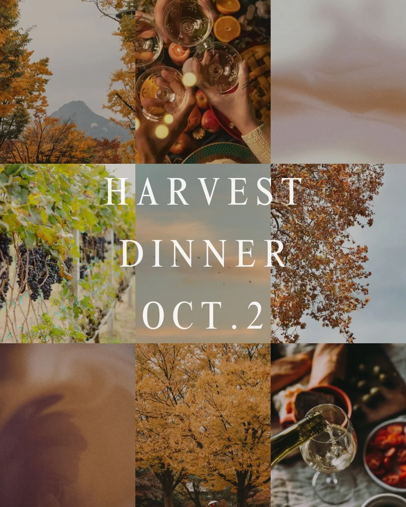 @aftonmtnvineyards
&bull;
Harvest deserves a proper dinner 🍂🥘 

On Friday, October 2, we&rsquo;re setting the table at Afton for five courses inspired by the season. Each thoughtfully paired with wines from our vineyard.

Heirloom succotash. Sorghu