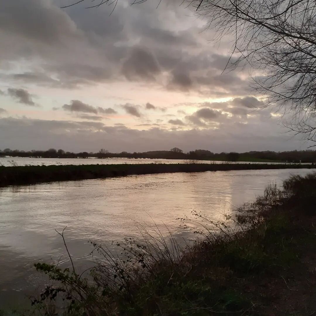 Walking along the Parrett and other waters this evening,  in the dusk and wind. It's been flooding on and off around Muchelney and the moors for several weeks. Beautiful light, but humans get cut off from their routines and routes! I don't think the 