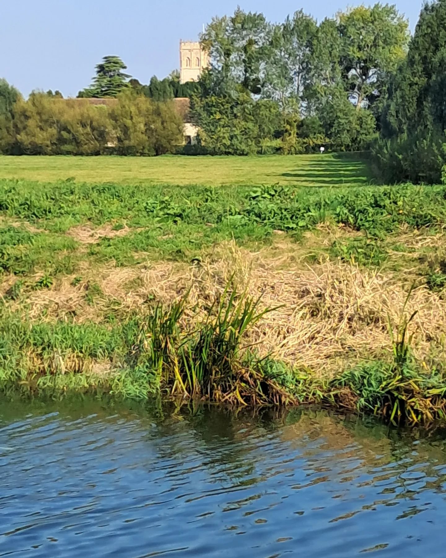 A quiet afternoon in September by the river Parrett,  water calmly flowing, the wind rustling in the reeds. The river,  however, has flooded several times last winter and spring. And this summer I've swum here....not sure how polluted the water is, b