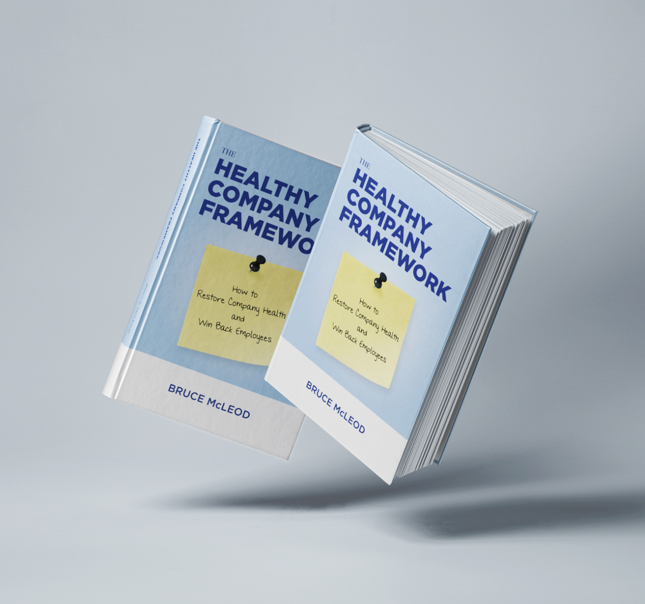 The Healthy Company Framework