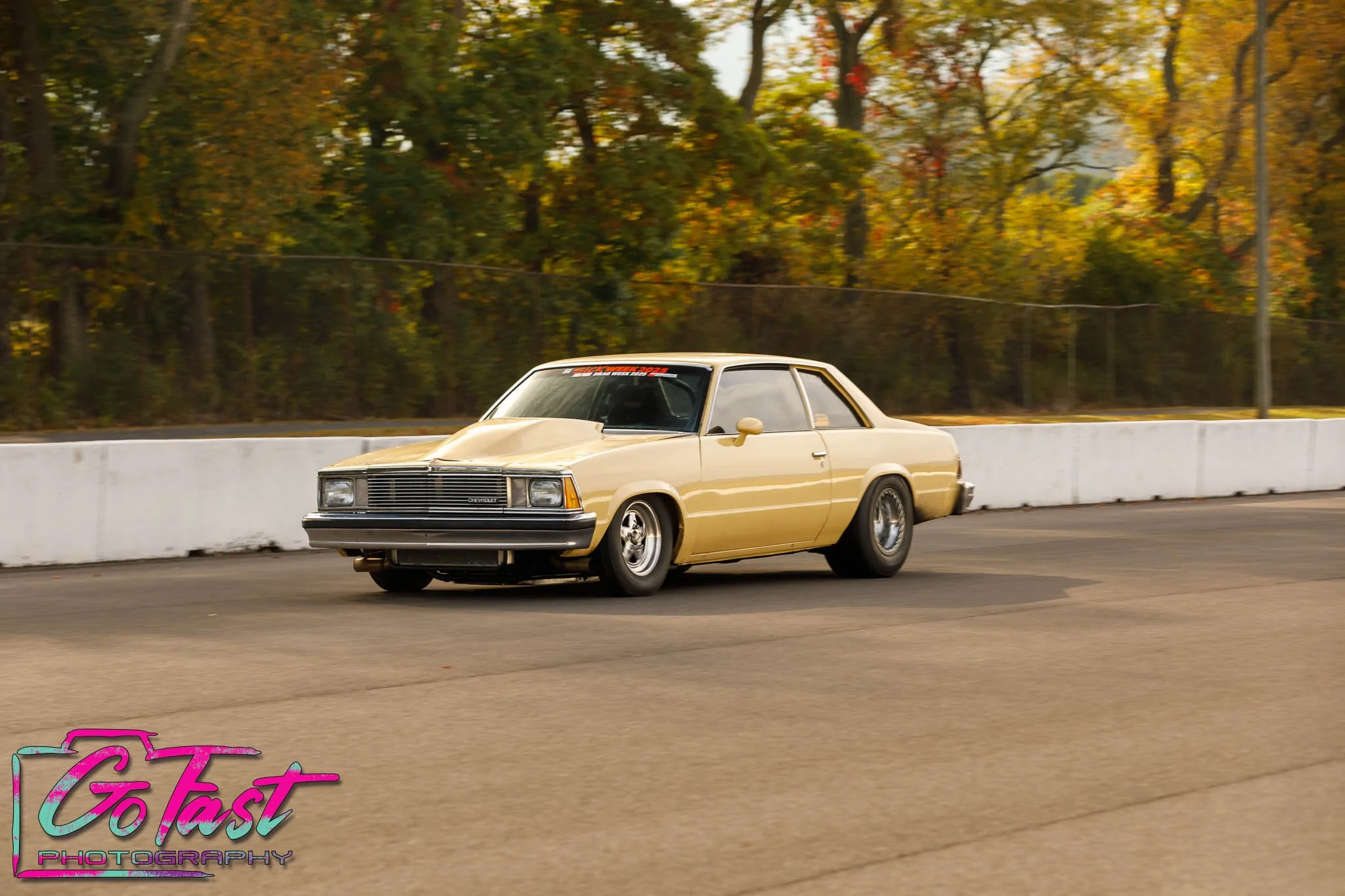4L4A1737.jpg
