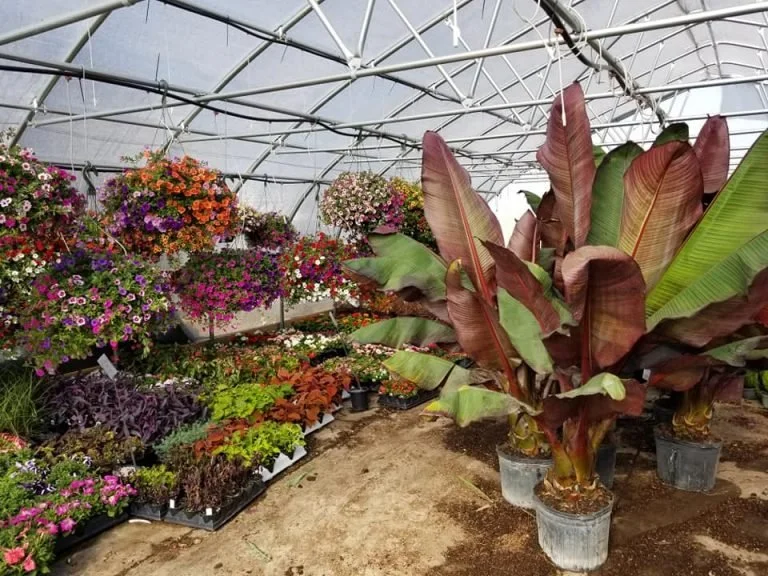 Howell’s Landscaping & Garden Center.jpeg