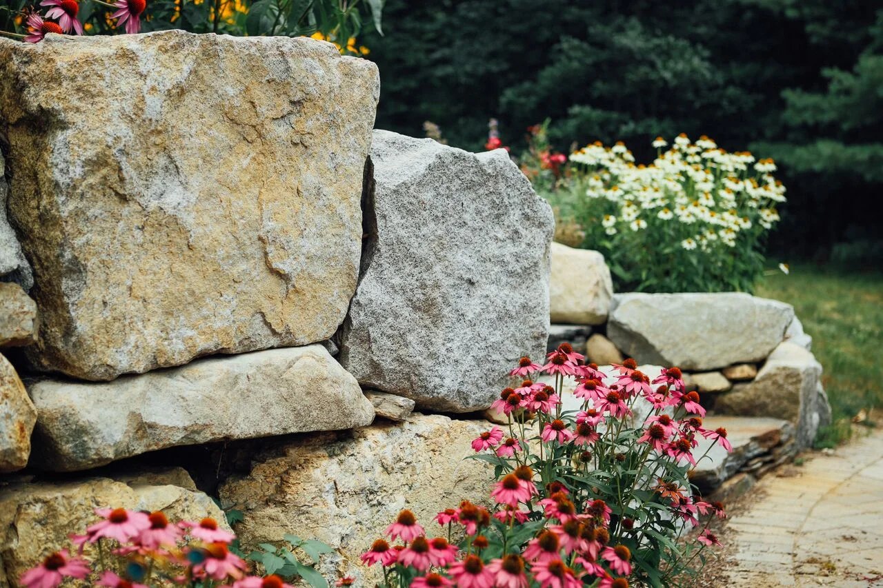 boulder-wall-echinacea.jpeg