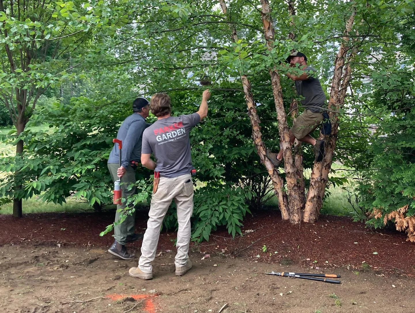 216497254_4450543191636681_808743247484116719_n.jpg