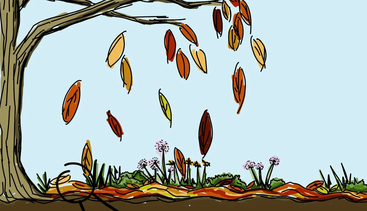 ecologically-sound-graphic_crop-1200x690.jpg