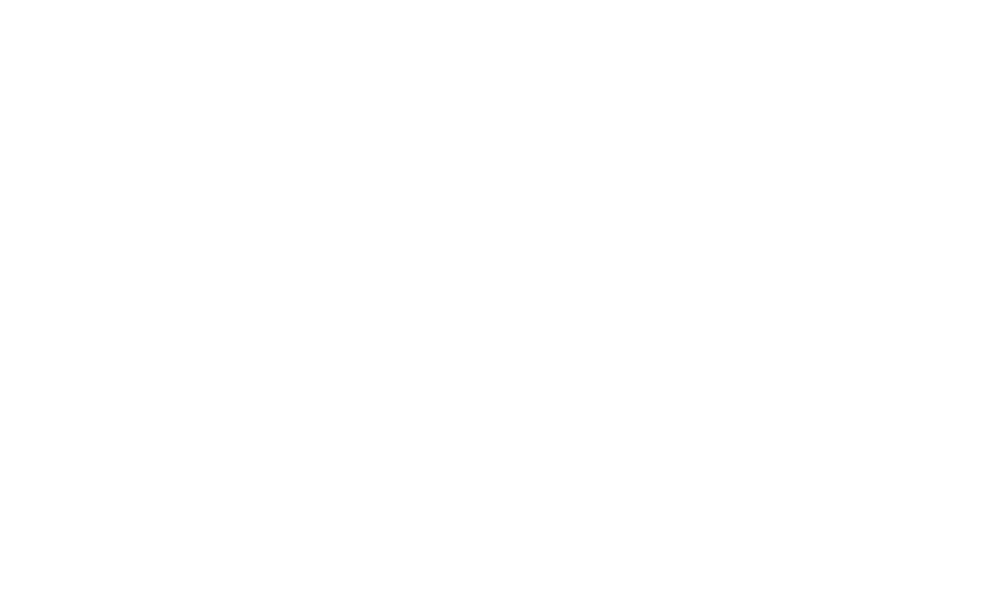 Pepijn de Wit