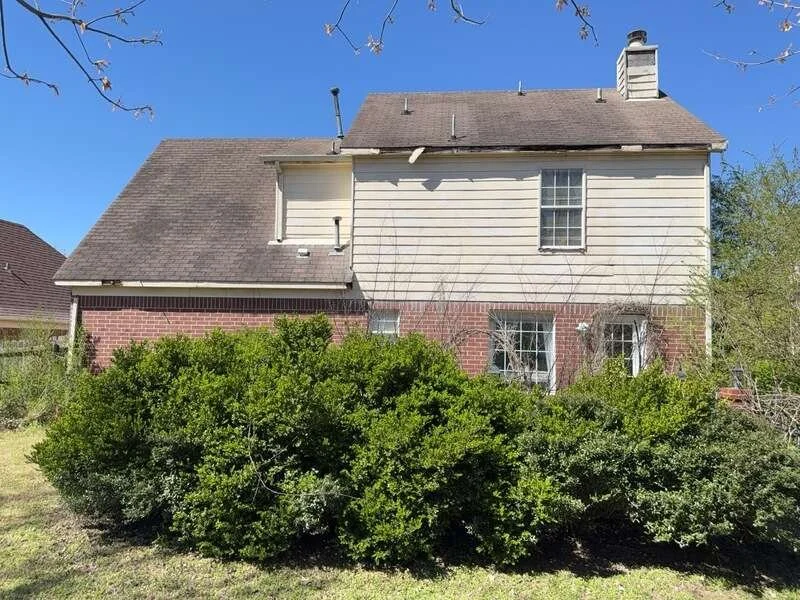 Hedge trimming before photo in Memphis TN