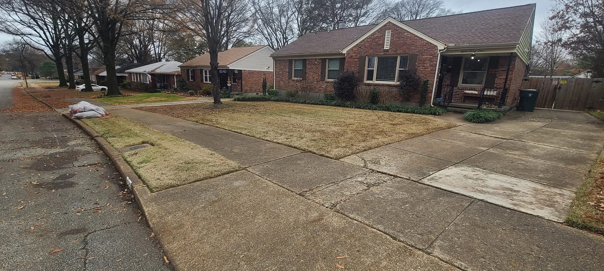 Leaf cleanup results in Memphis TN
