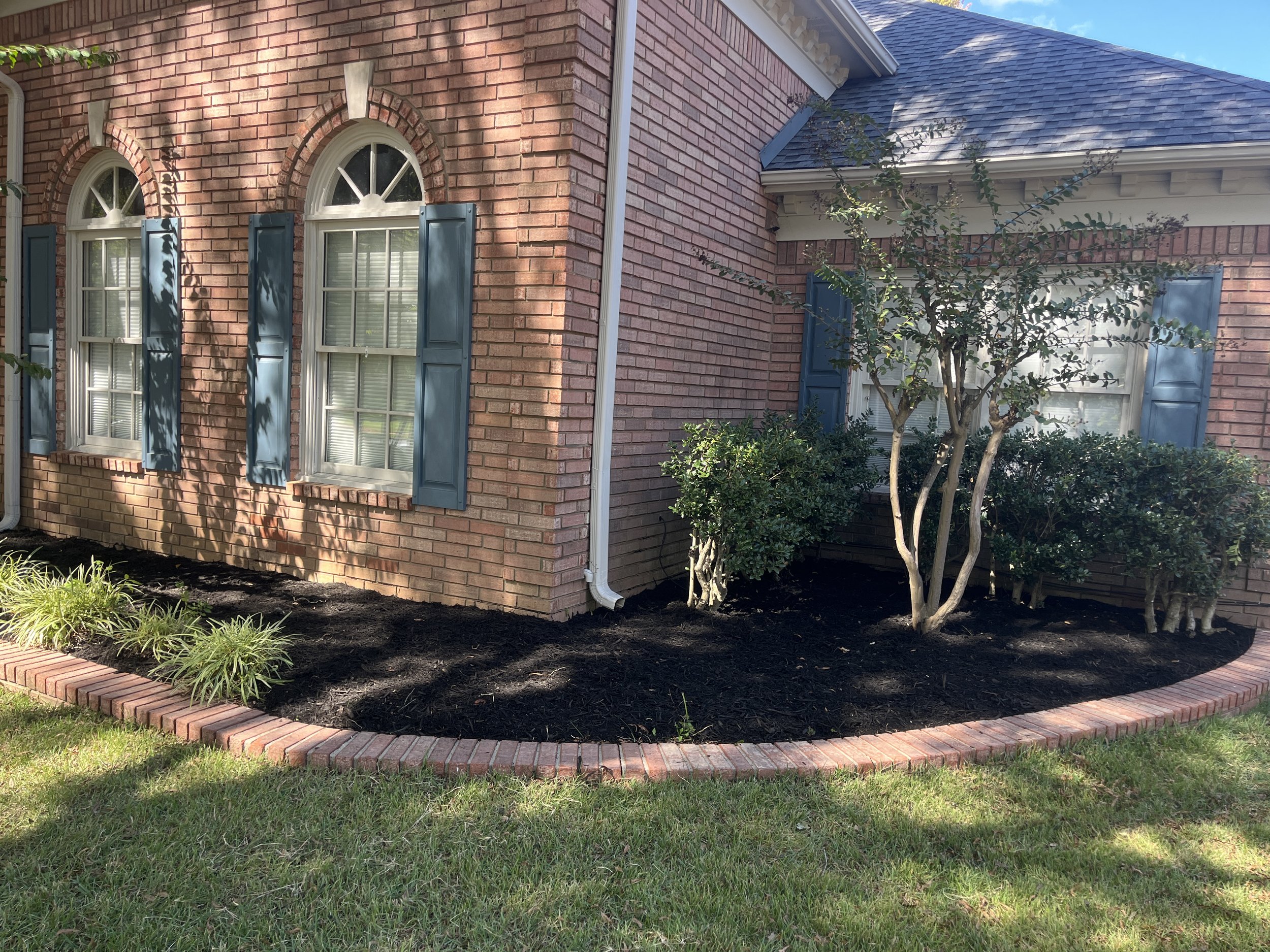 Backyard with red brick house, blue shutters, arched windows, small tree, green bushes, and a flower bed with a brick border.