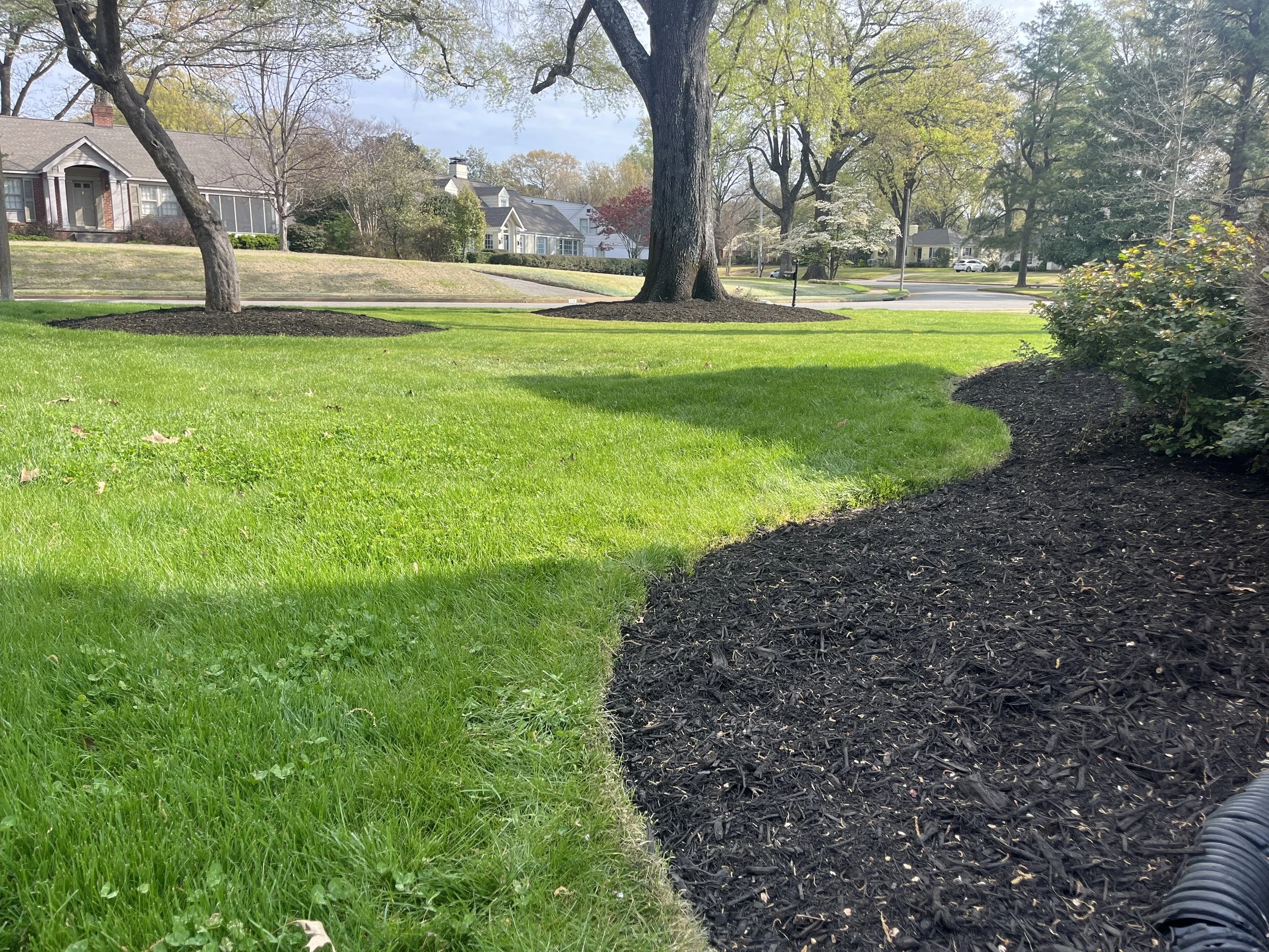 A well-maintained residential yard with green grass, mature trees, and landscaped flower beds with dark mulch, houses in the background, and a sidewalk across the street.