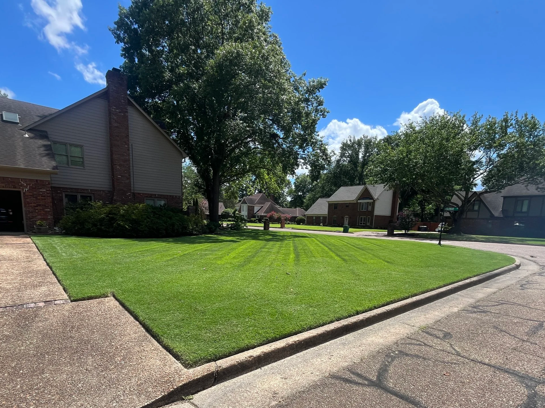 Suburban neighborhood street with houses, green lawns, large trees, and a bright blue sky with a few white clouds.