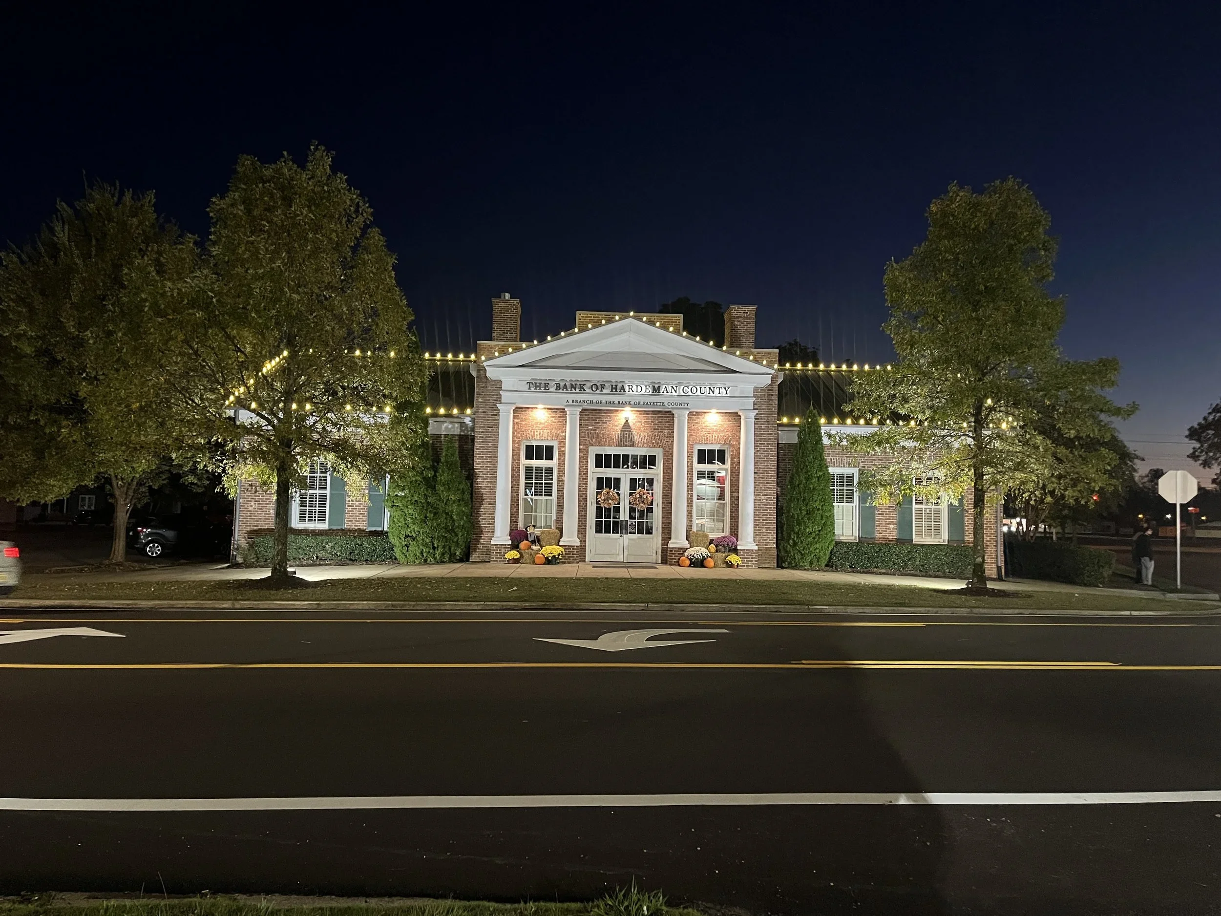 Christmas Light Installation