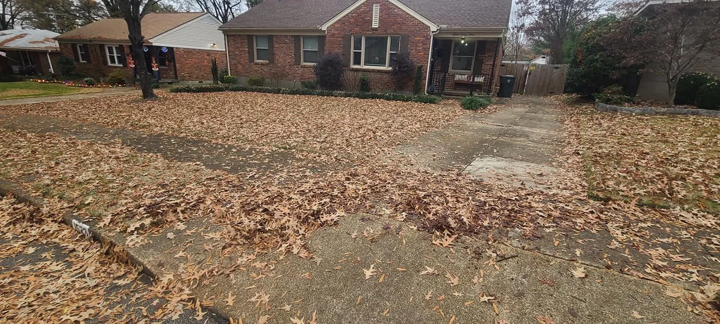 Leaf cleanup results in Memphis TN