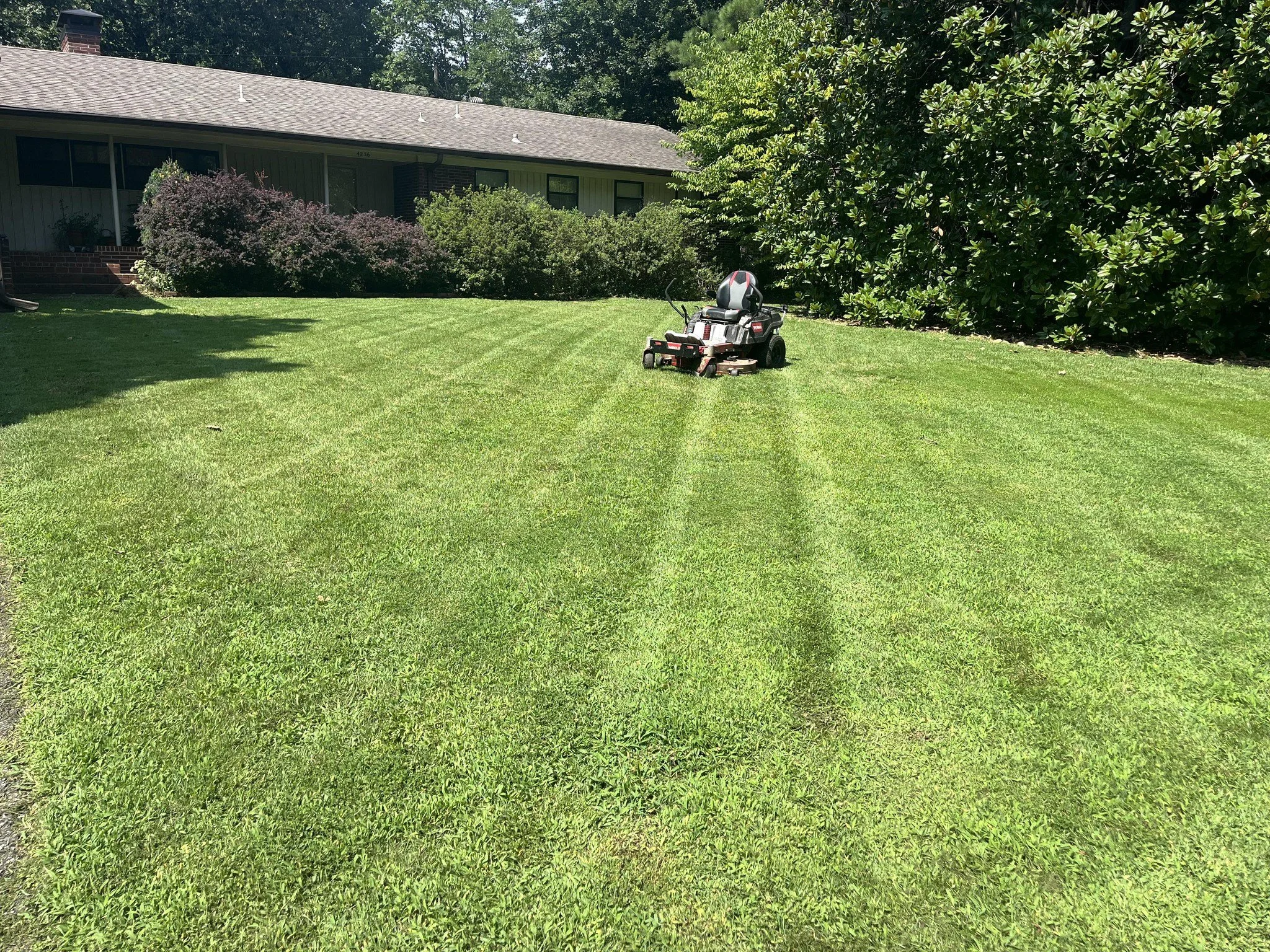 Lawn Mowing