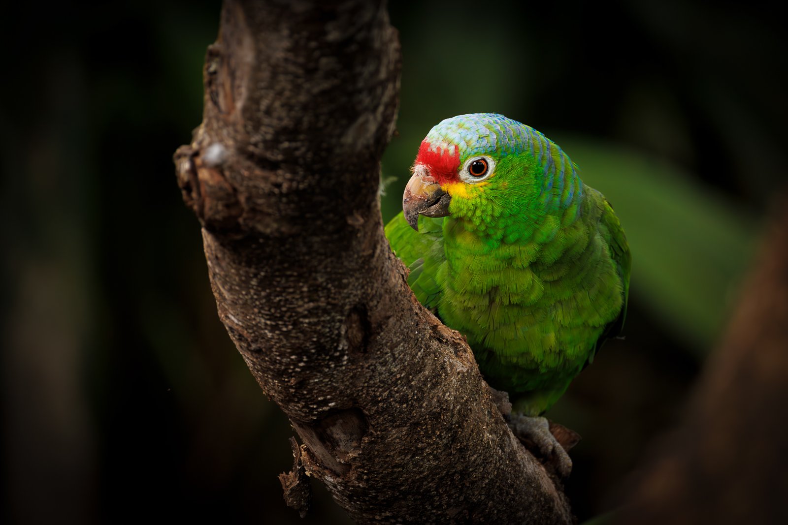 _JD_3302-Mejorado-NR copia.jpg
