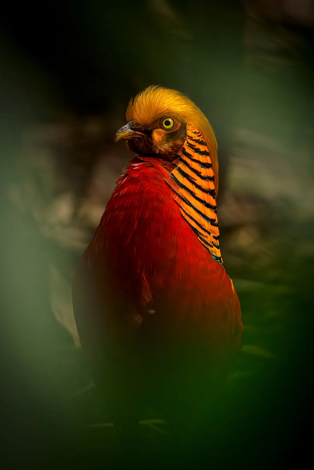 _JD_3742-Mejorado-NR copia.jpg