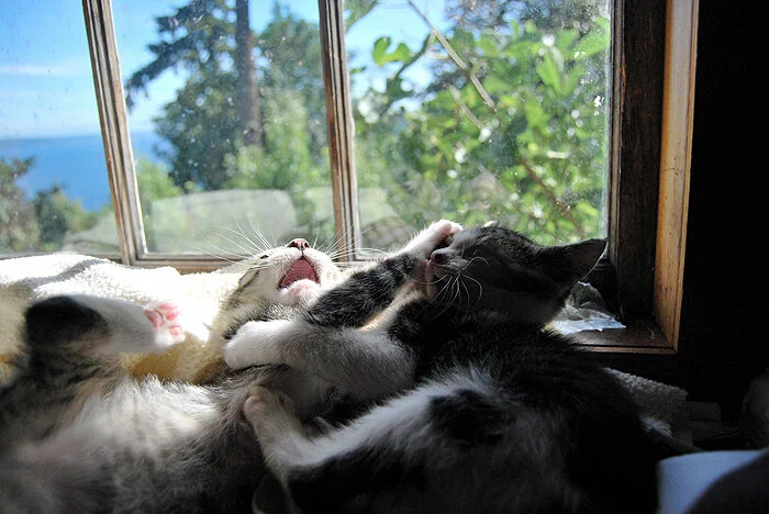 DSC_0327.JPG