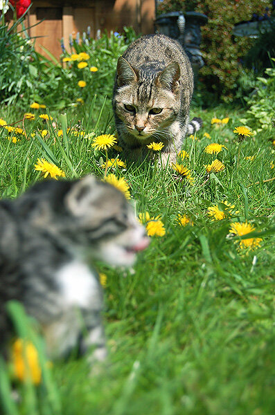 DSC_0398.JPG