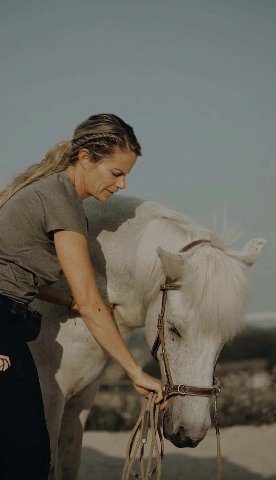 Tensegrales Training4.jpg