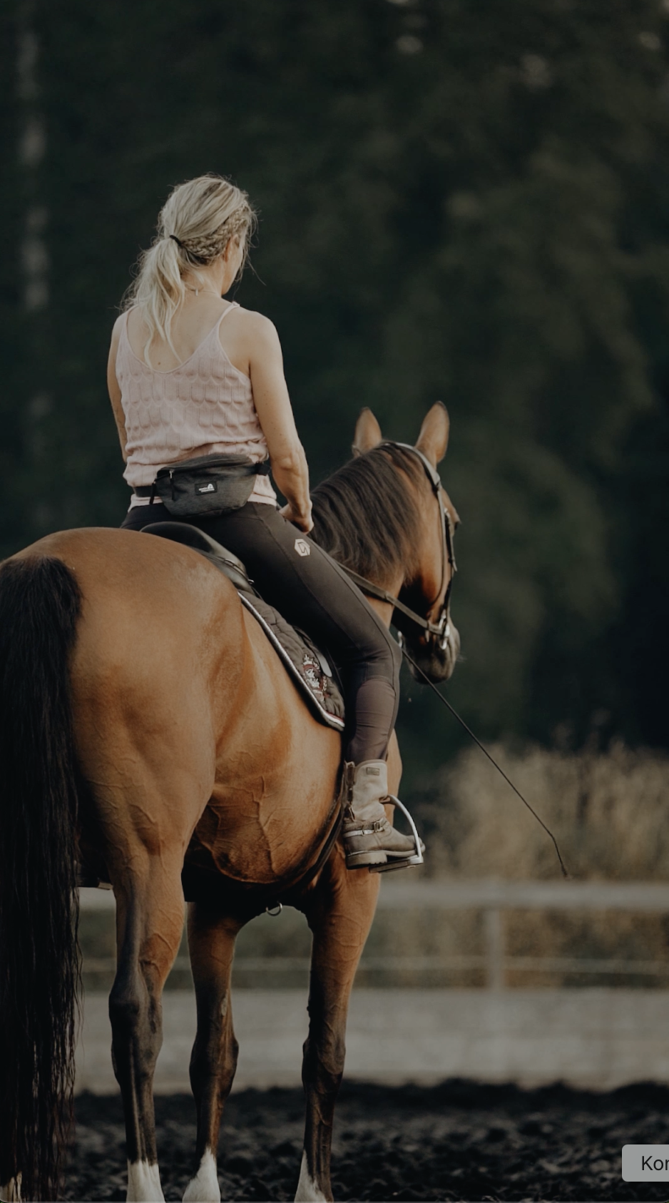 Blick in die Zukunft.png