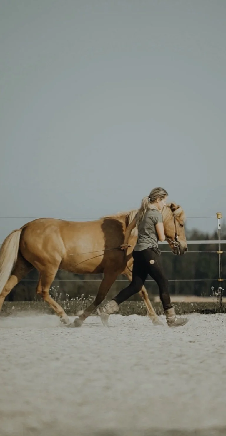 Klassische Handarbeit.jpg