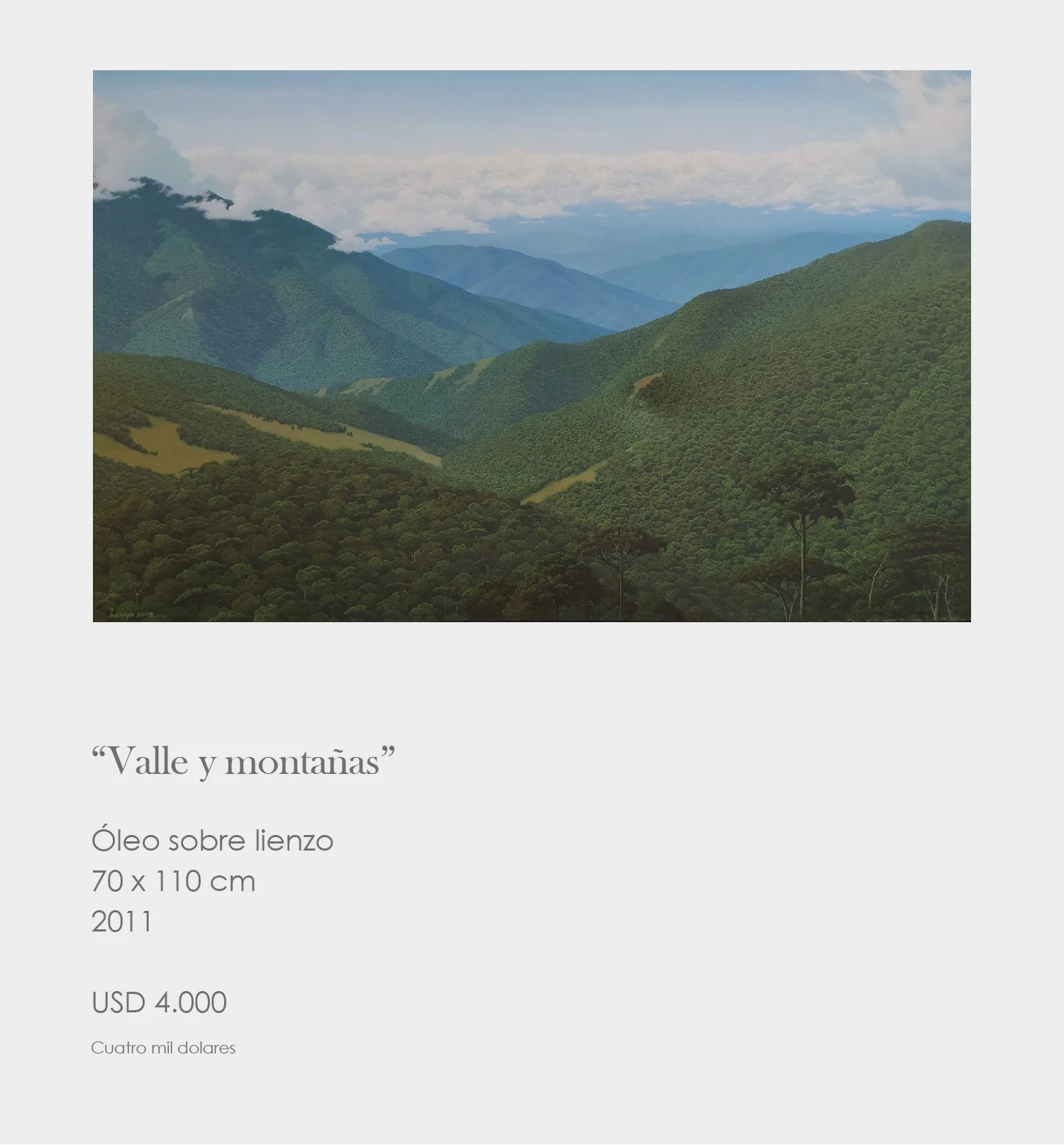“Valle y montañas”