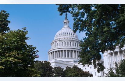 Federal Agencies and the Challenges of Digital Transformation