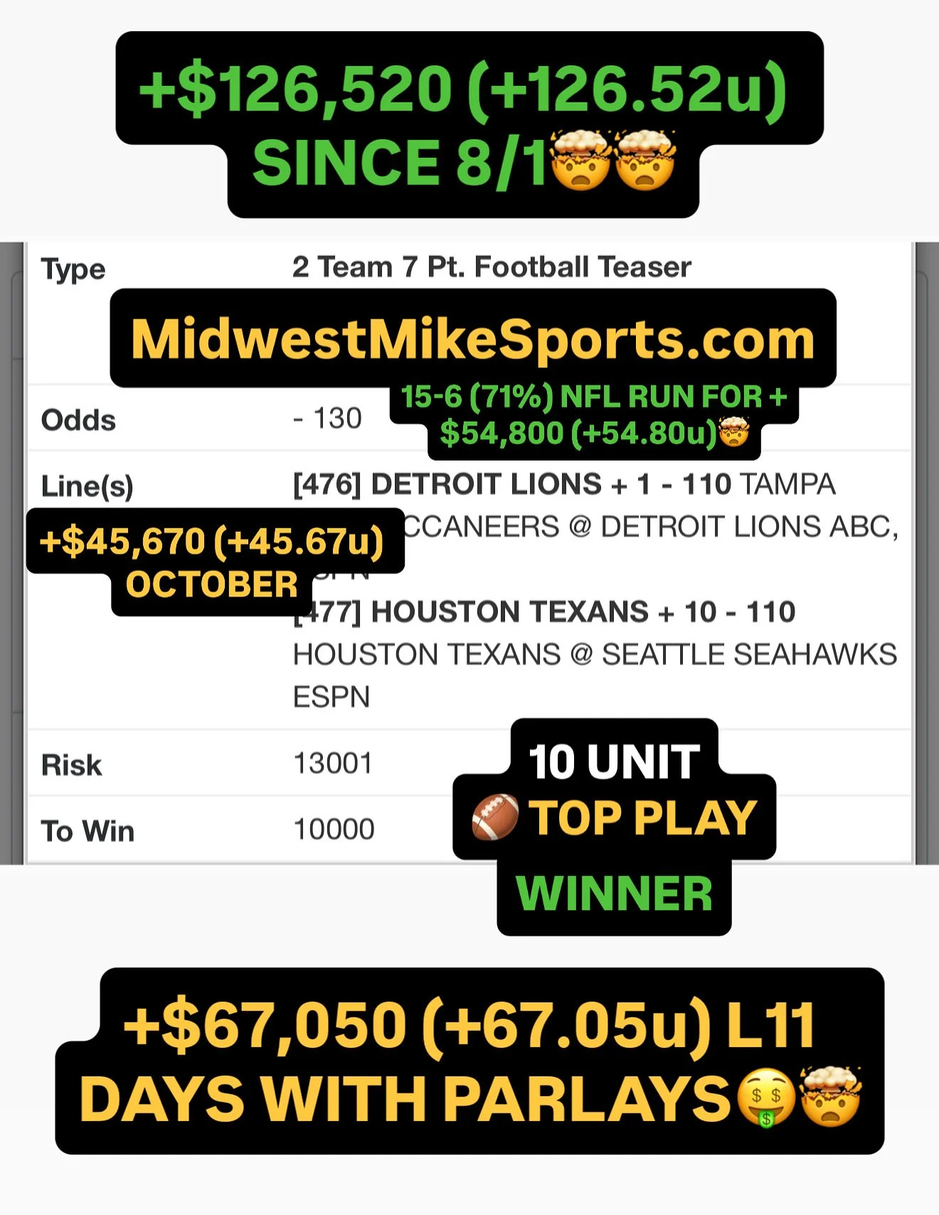 10u Lions : Texans Winner.JPG