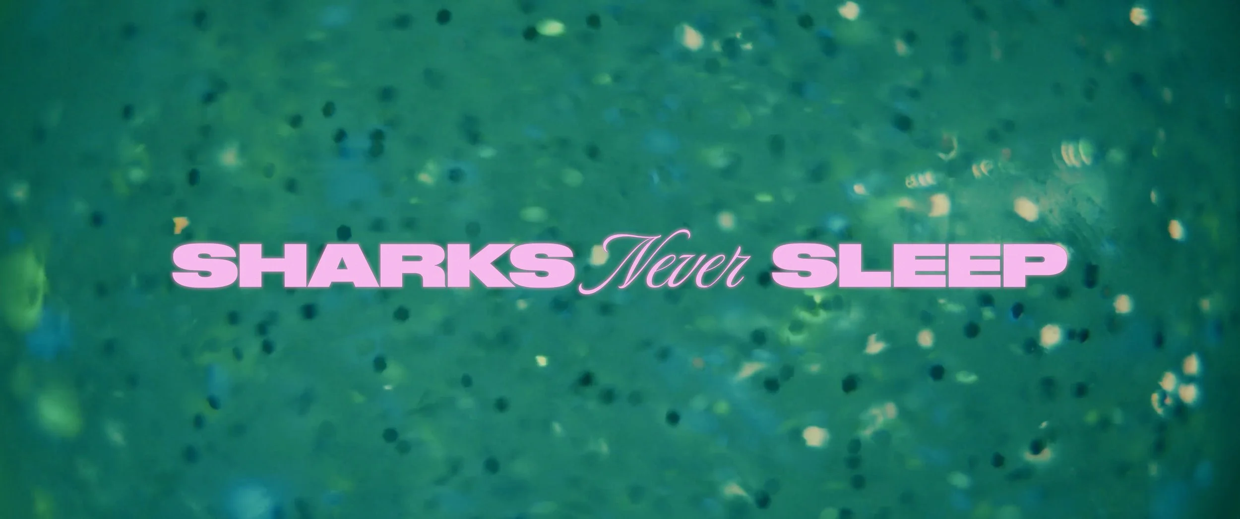 SharksNeverSleep_GradeScoreSound_BFIReview.00_02_11_11.Still012.jpg