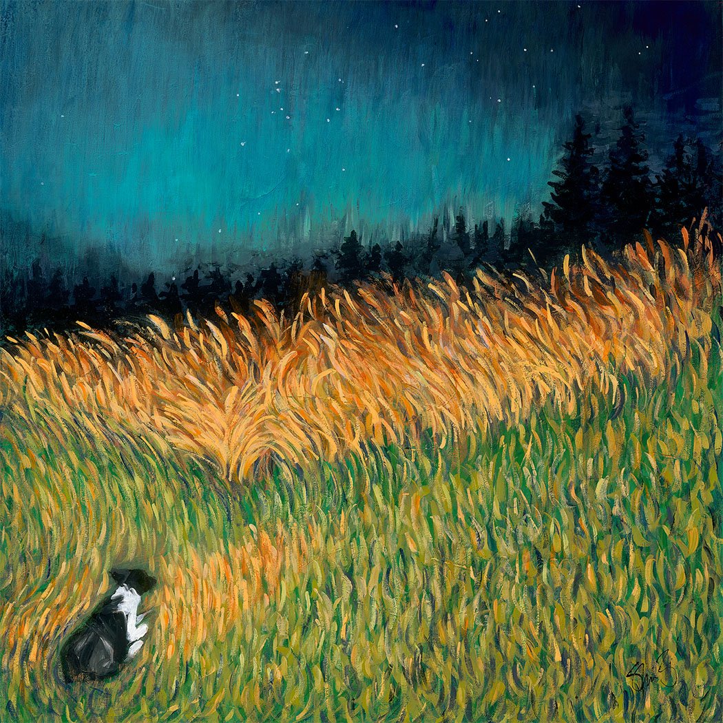 Beau_and_the_Northern_Lights.jpg