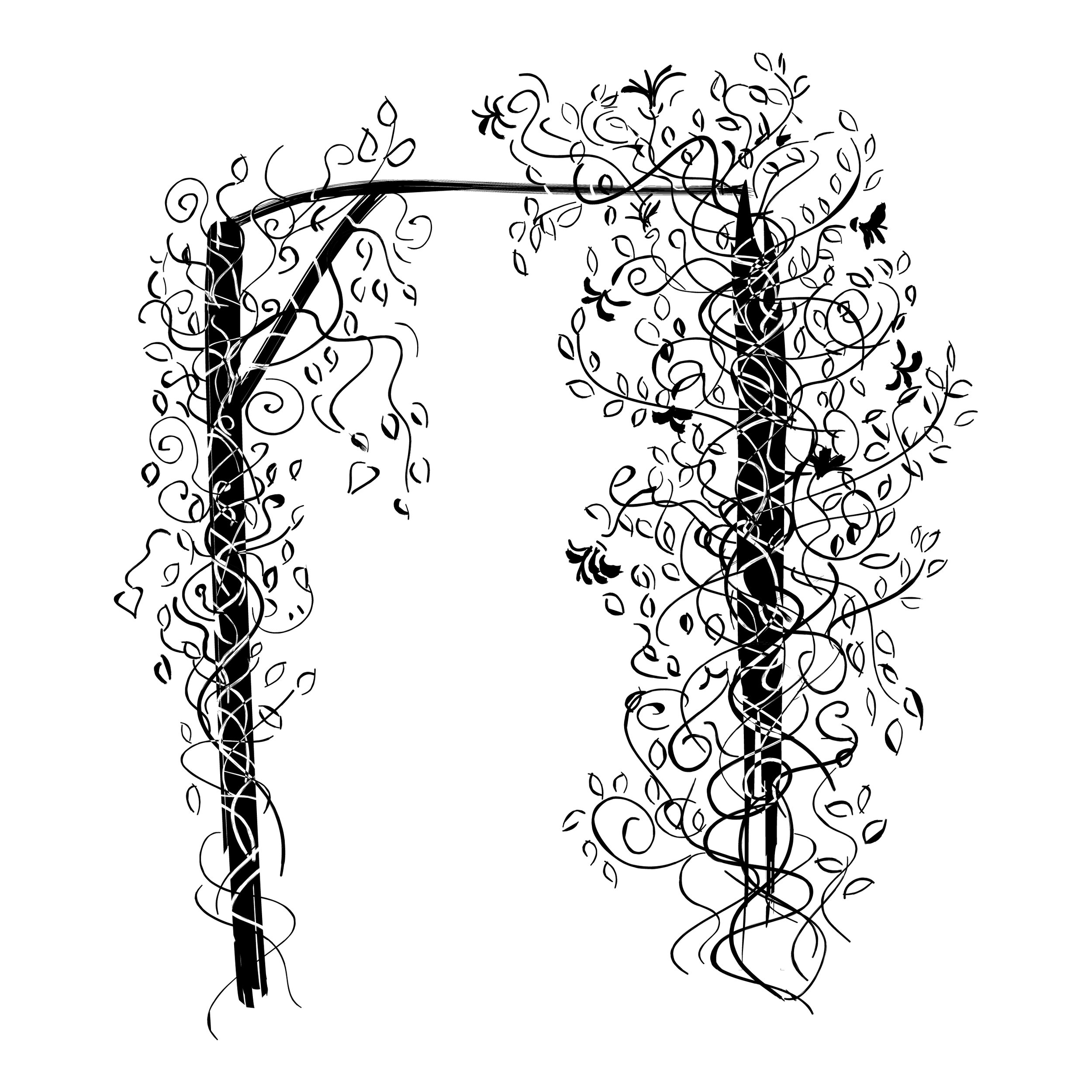 Line drawing of flowering vine on trellis