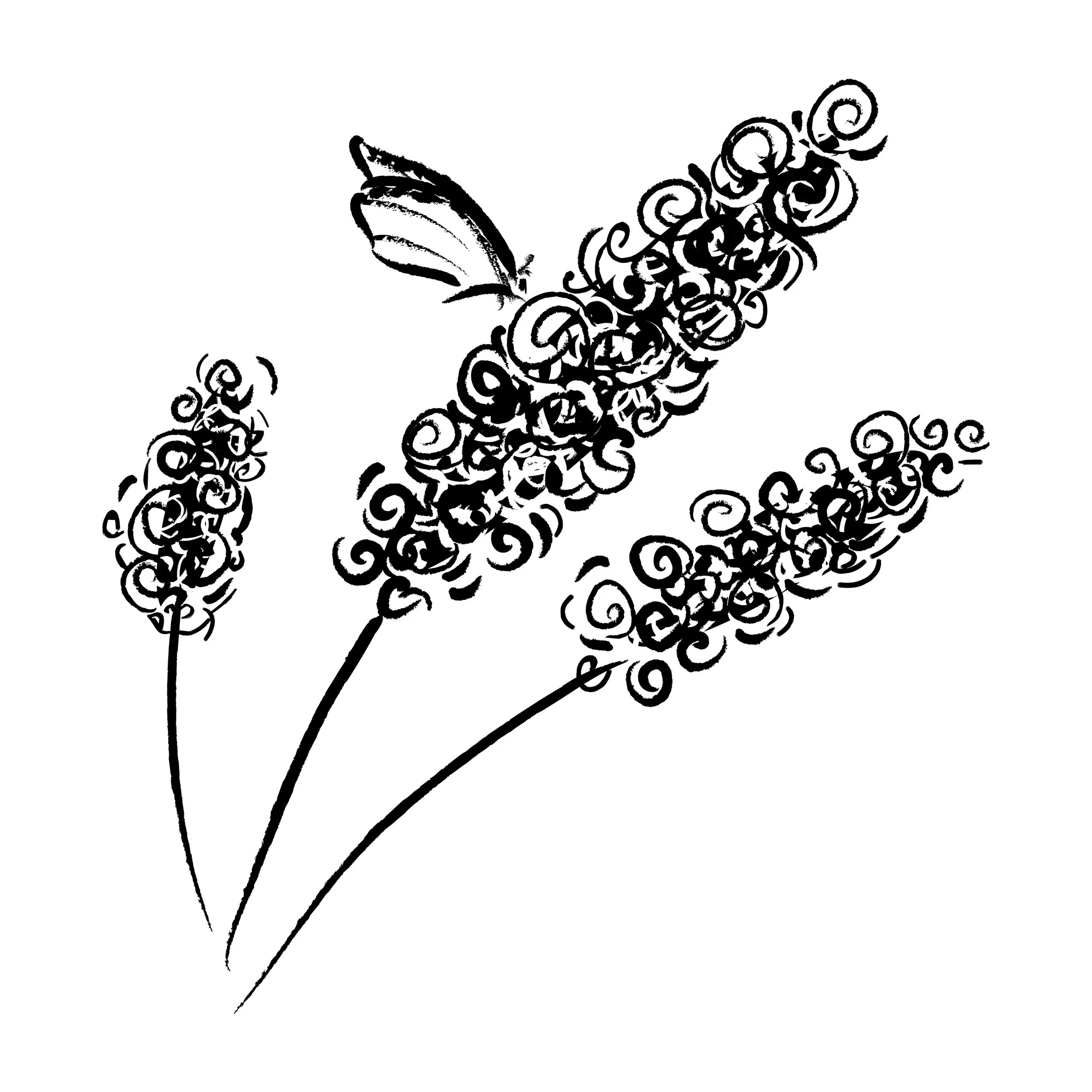 Line drawing of butterfly on butterfly bush flowers