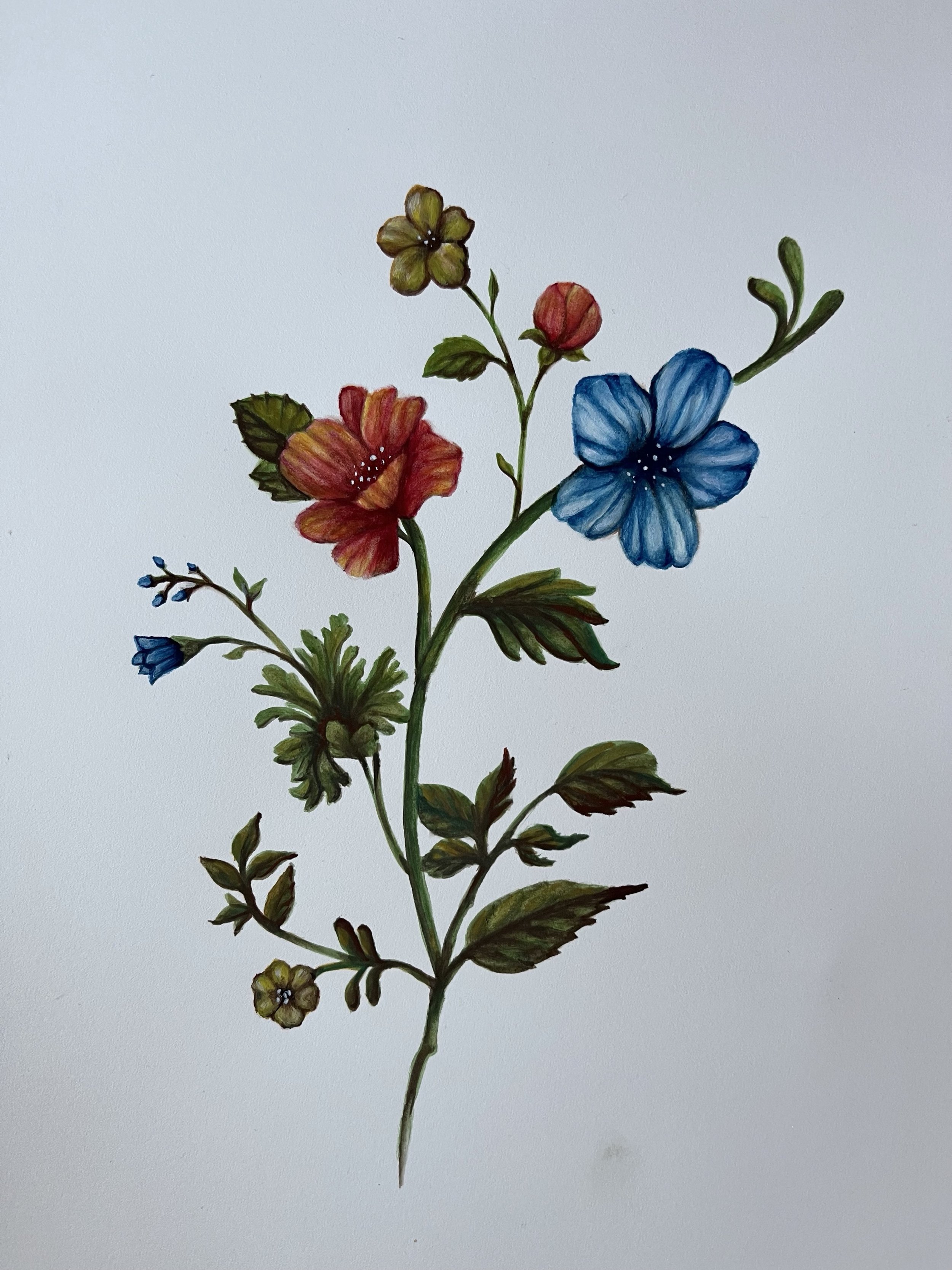 Simple Floral