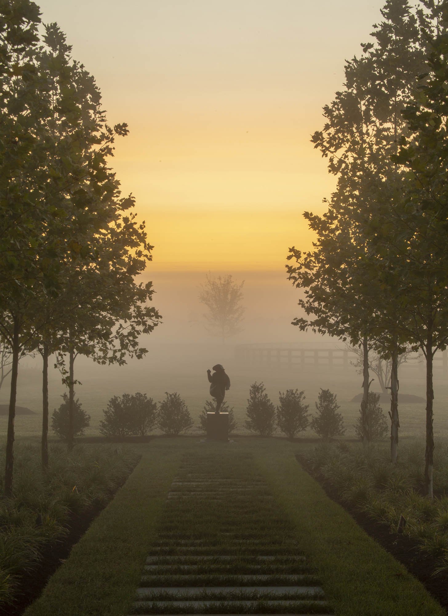 A landscape shot in Maryland at a compound designed and built by Purple Cherry Architects. Photographs by Durston Saylor.